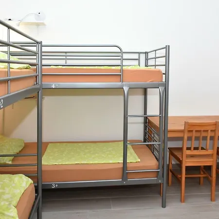 Dragon Guest house *
